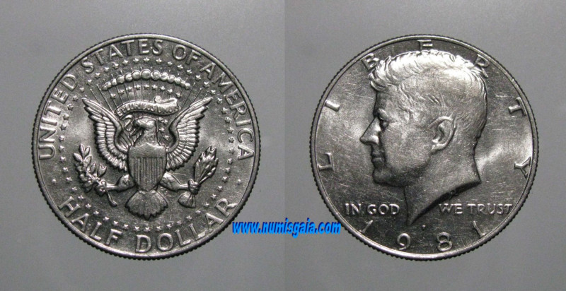 Estados Unidos América (USA) KM#202aUS81P - HALF DOLLAR 1981P